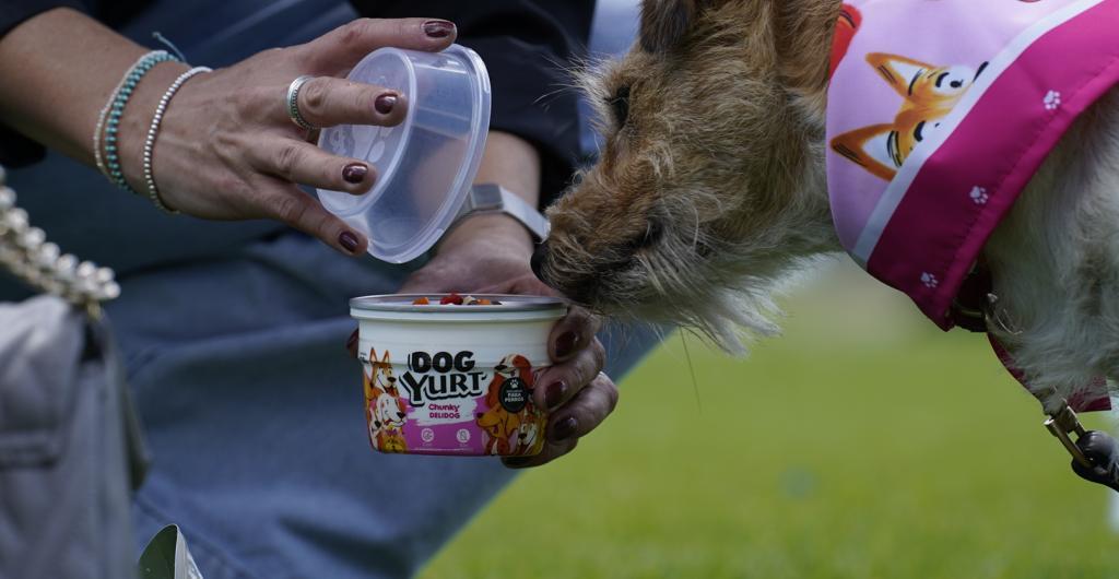 Bon Yurt y Chunky lanzan un ‘snack’ edición limitada para perros