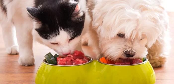 Se endurece el Control Sanitario en los Alimentos Crudos para Mascotas