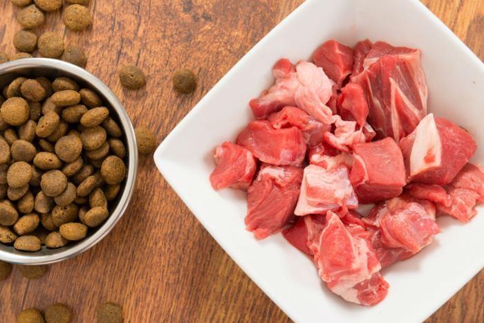 Alimentos para Mascotas  Liofilizado o Raw Meat ¿Cuáles son los Beneficios? 