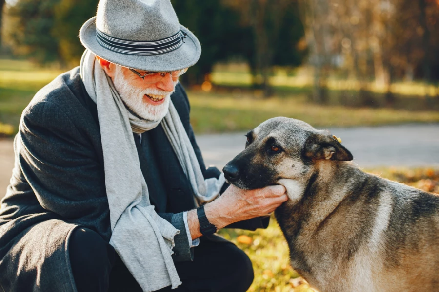 Novedosa técnica probada en perros puede ser la cura contra el alzheimer