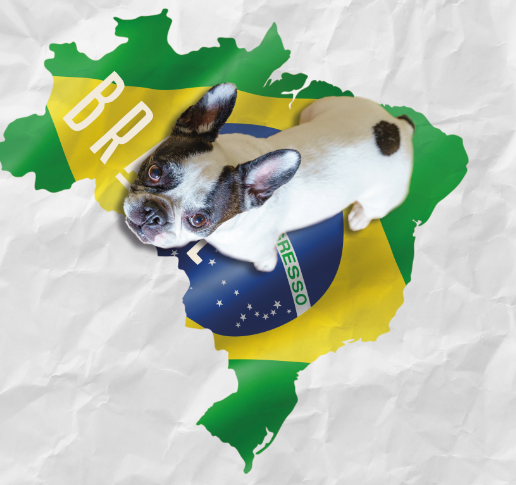 Pet Food en Brasil: La situación del Mercado 2021