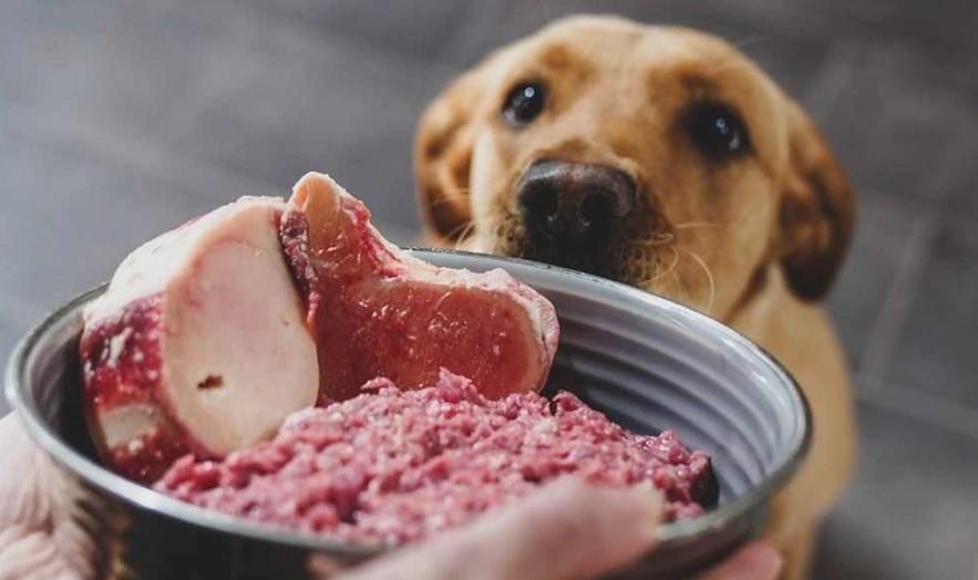 Los propietarios que optan por la carne cruda hacen más caso a las redes que al veterinario
