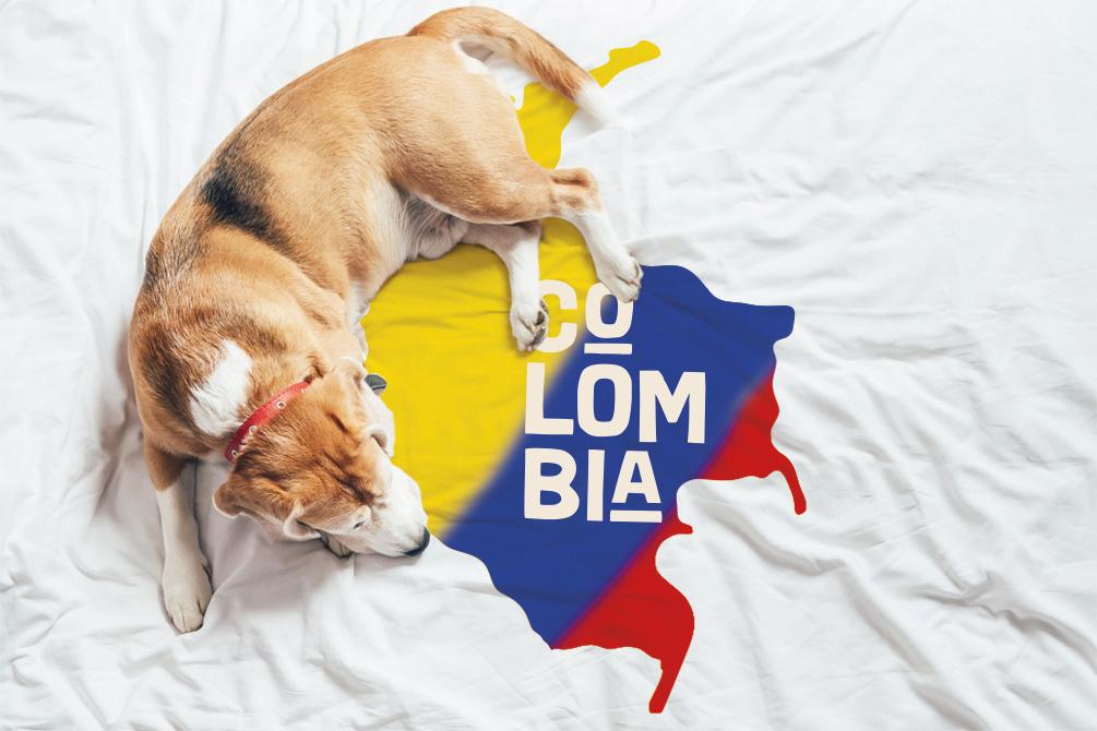 El mercado Pet Food en Colombia