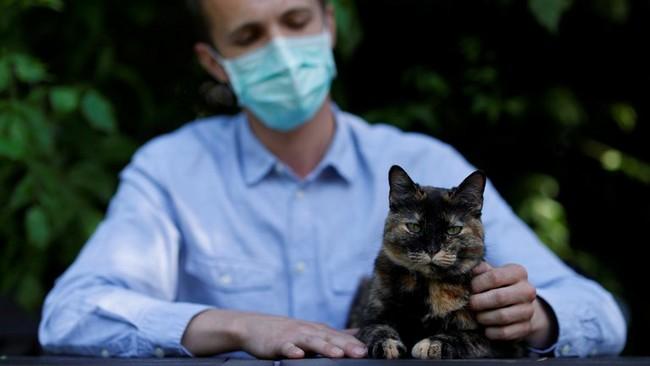 COVID-19 y mascotas: Iniciaron las Pruebas de una Vacuna para Gatos
