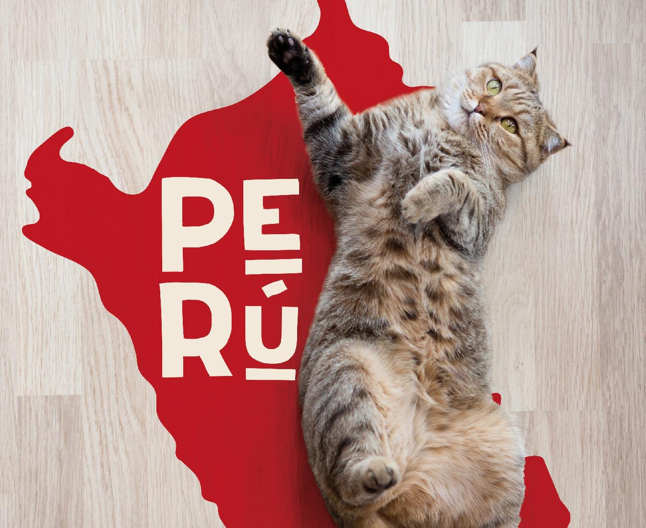 El Perú de las mascotas: el mercado pet food en el 2021