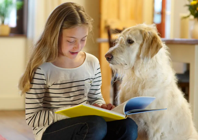 Los perros entienden hasta 215 palabras o frases, según un nuevo estudio