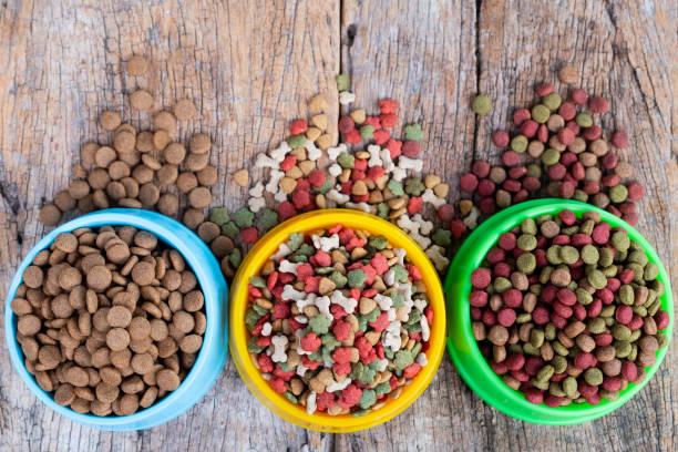 Producción de Alimentos para Mascotas: 3 factores para optimizar la economía y la eficiencia de la Extrusión