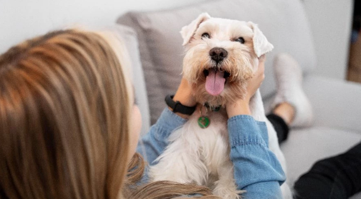 "Su salud está en tus manos", la importancia de detectar posibles tumores caninos